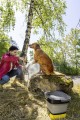 OC_3_Foldable_dog_app_03_CI20-300_dpi.jpg