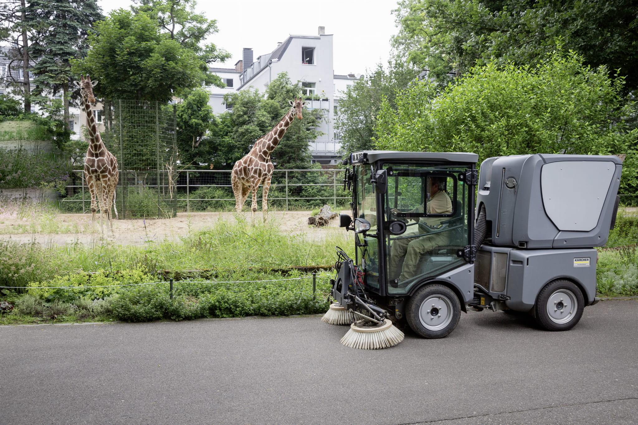 MIC_42_municipal_zoo_app_08_CI20-Portal_Image_High_3k.jpg